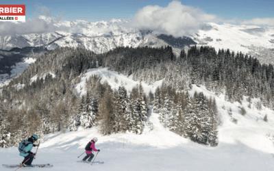 Profitez des cartes journalières à prix spécial pour Verbier ou Bruson!